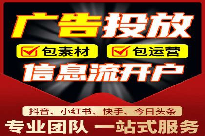 网络推广竞价策略案例分析